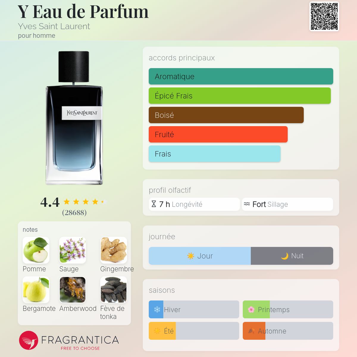 Style Yves Saint Laurent Y Lebanon Collection